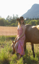 Load image into Gallery viewer, Canyon Rose ° luna silk charmeuse slip dress (size M)
